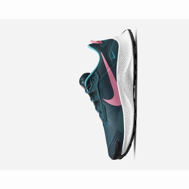 Nike Pegasus trail