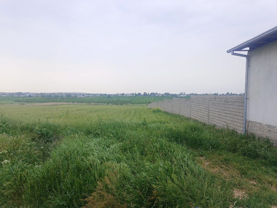 Срочно продам земельный участок площадью 100 сот 
Таш обл. Черняевка.