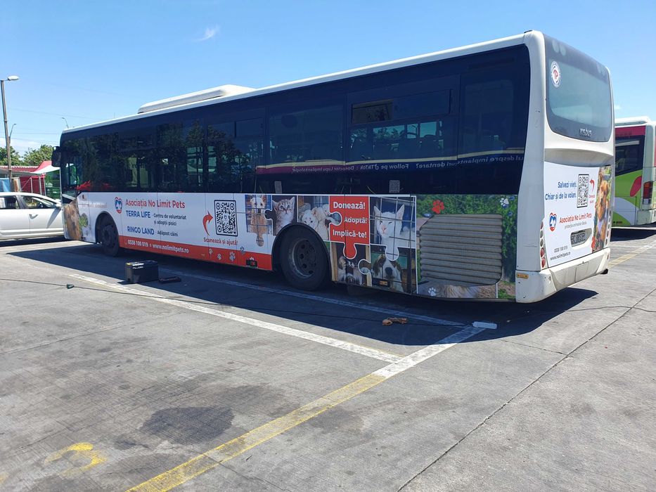 Servicii de colantare