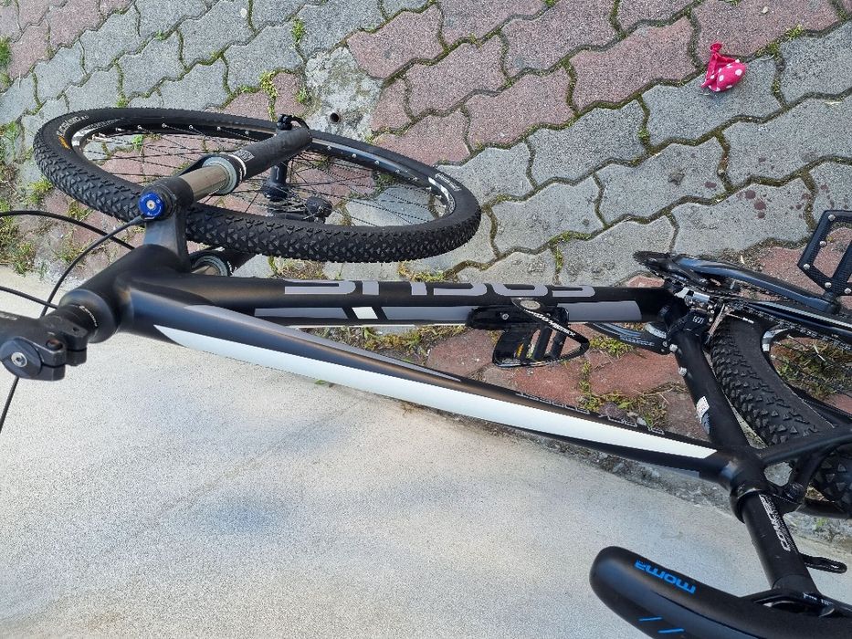 Focus black forest 29"