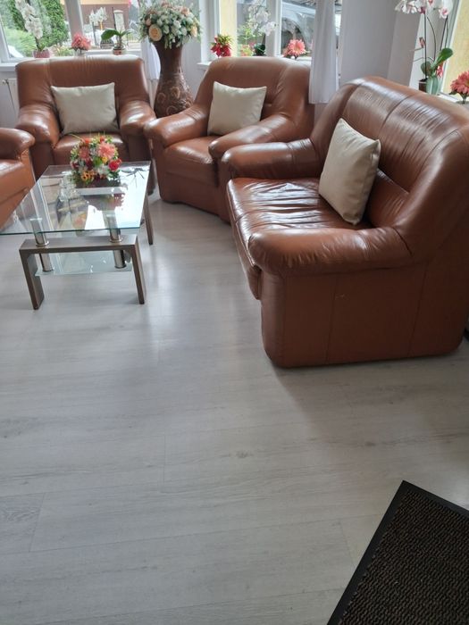 Canapele din piele naturală