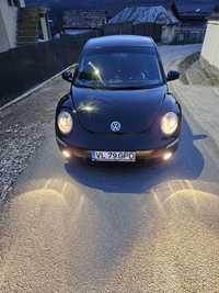 Volkswagen Beetle Vw beetle