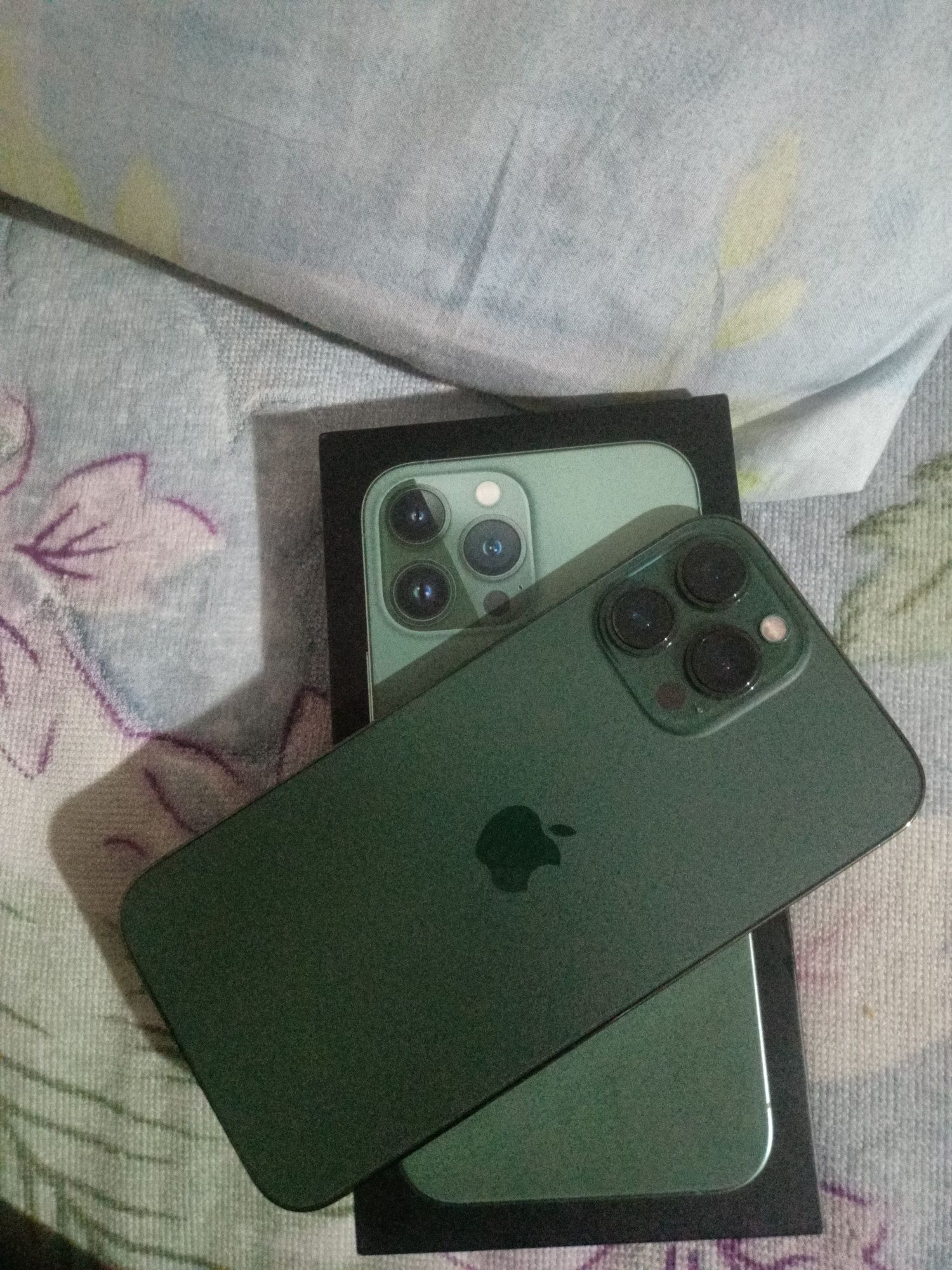 iPhone 13Pro max256