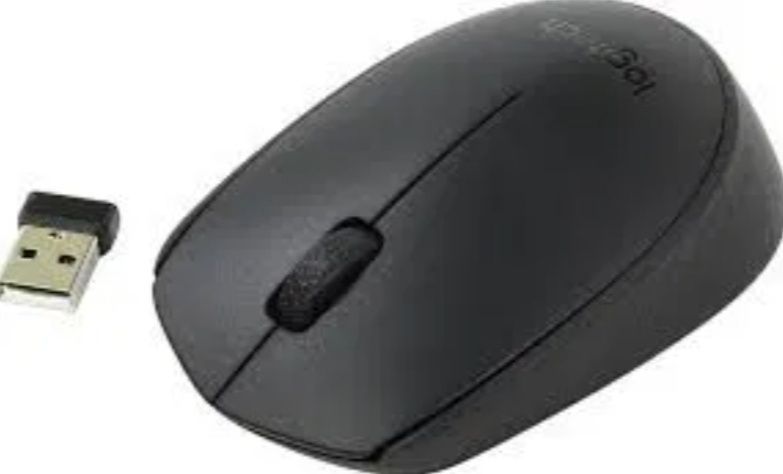 Mouse Logitech B170