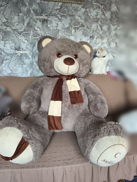 Большой медведь в идеальном состоянии дар