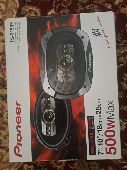 Pioneer arginal vetnam