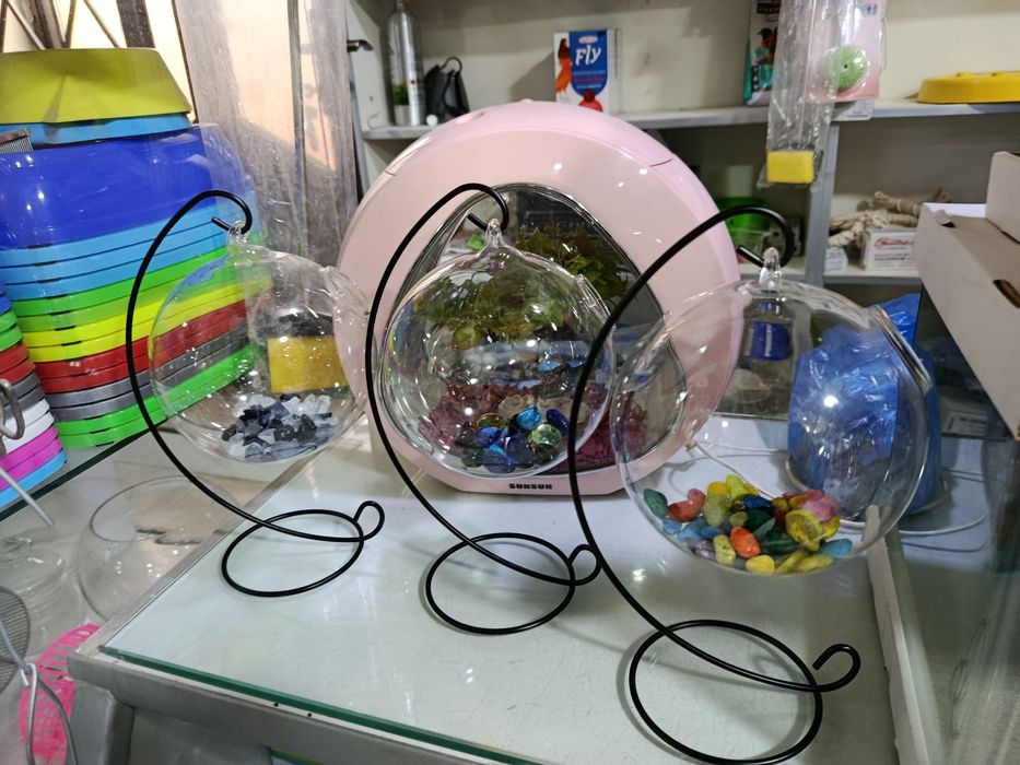 Акваруммо с поставкой