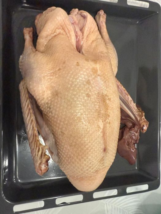 Продам домашних гусей есть доставка во все районы Астаны