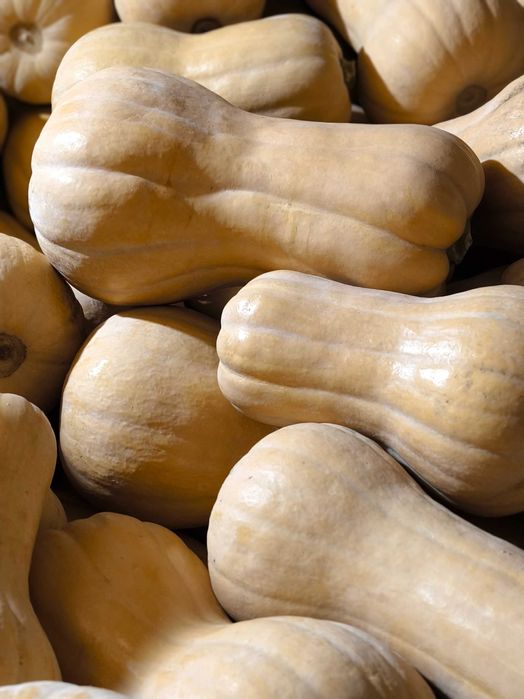 Тикви сорт Матилда