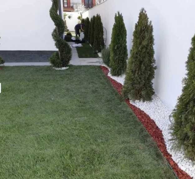 Gazon Verde Intens – Sistem de Irigare și Lucrare Completă