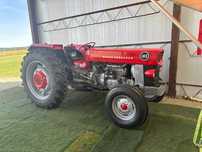 De Vanzare Tractor Massey Ferguson 165