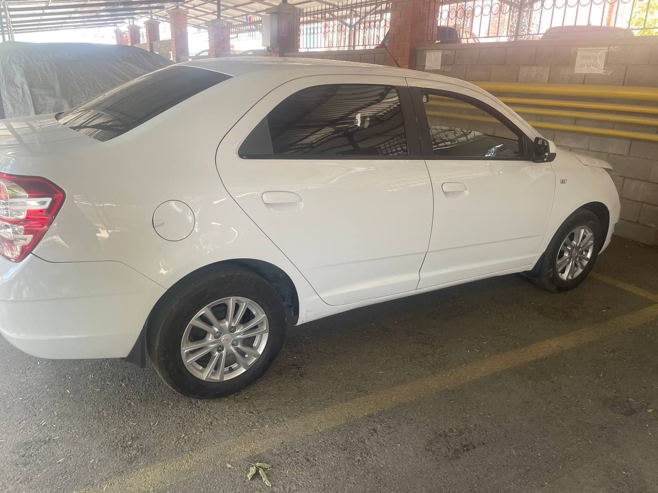 Moshina cobalt 2015