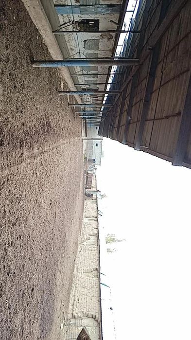 Ferma (toliq malumotni telda gaplashilinadi)