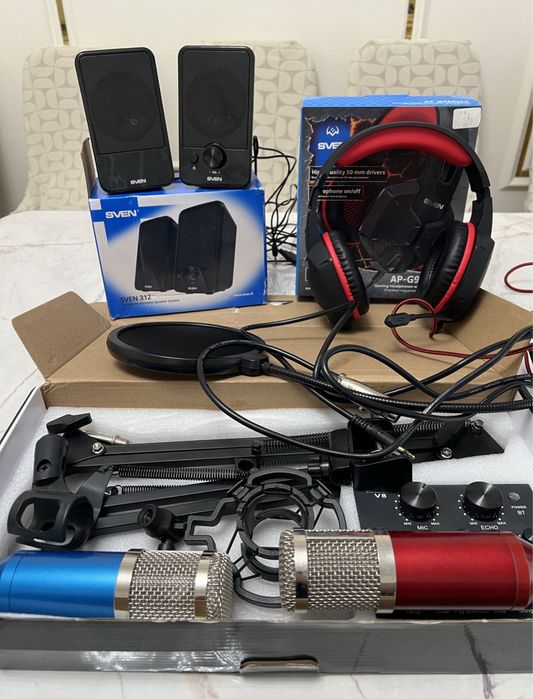 Мини студия с 2 микрофоном