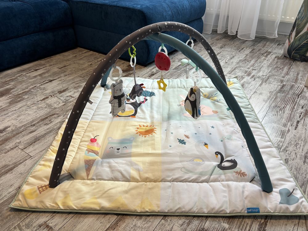 Centru de activitati muzical Taf Toys