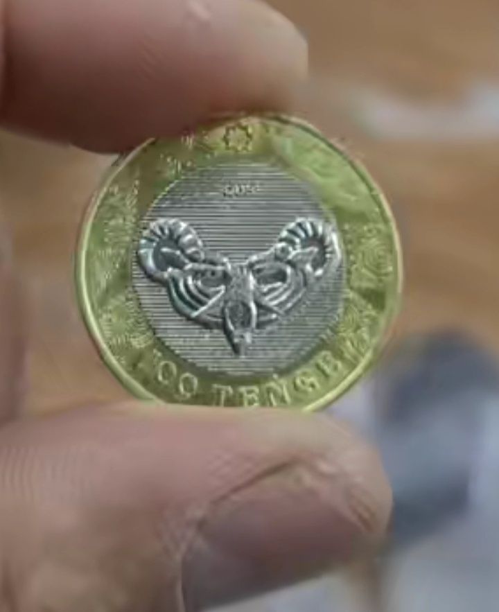 25000 сақски стилі