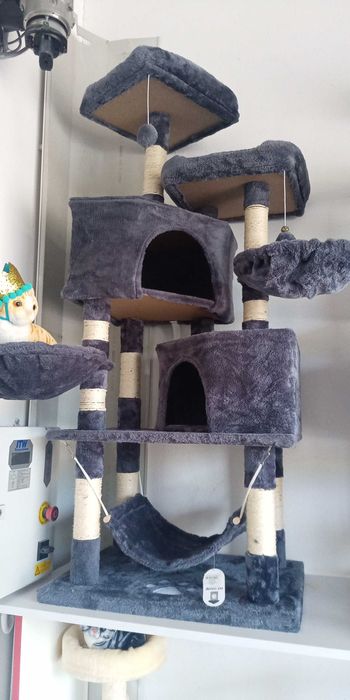 Катерушки за котенца