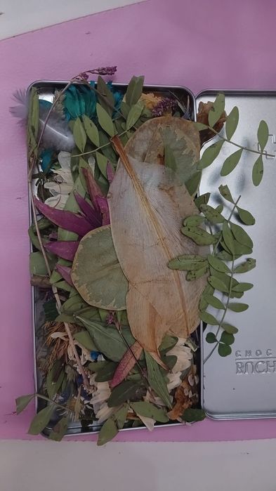 Сухоцветы, гербарий для творчества и интерьера