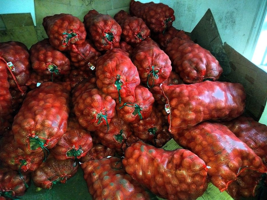 Продам домашний картофель