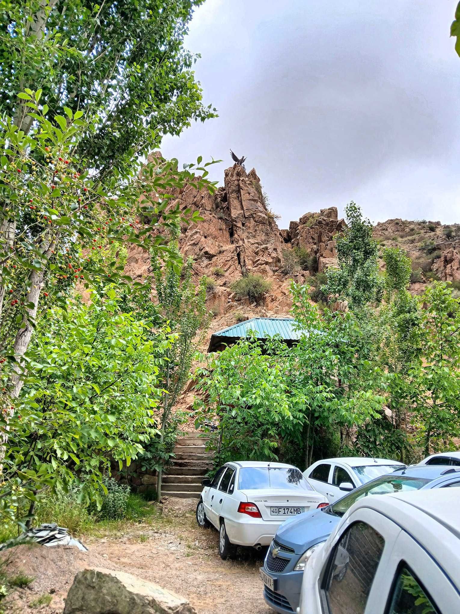 Dacha perevalda dam olish maskani.dachani boʻlib ham sotamiz