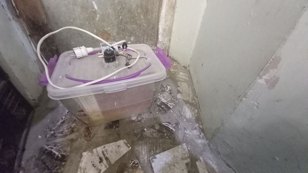 Tovuq tuxumi uchun qo'lbola inkubator 25-30 ta tuxum sigadi