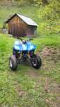 Ateveu bachan 250cc