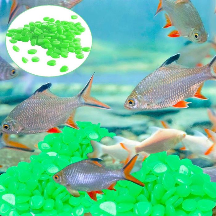 Pietre decorative fluorescente verzi 100 buc pentru alei vaze acvarii