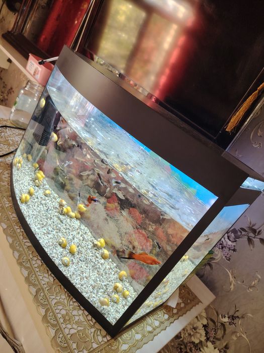 Avalniy akvarium 40Litr komplekt