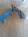 Skateboard        in stare buna