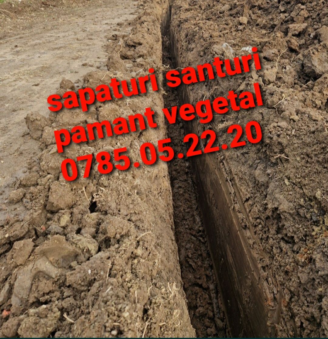 Execut cu buldoexcavator excavari demolari si transport pamant vegetal