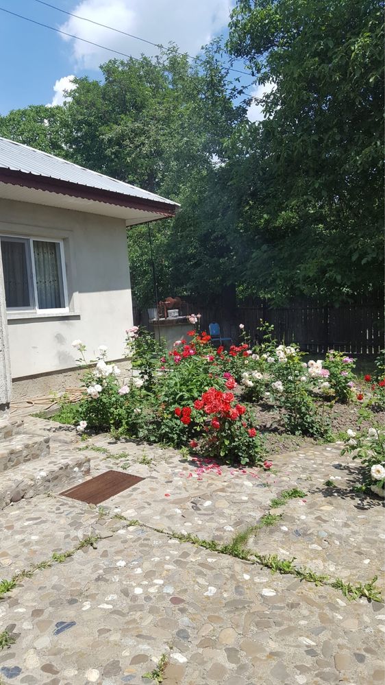Vand casa in comuna Razboieni,Sat Marginea