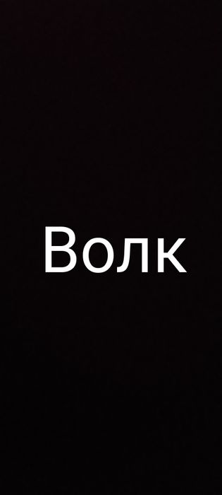 Продам волка ш .
