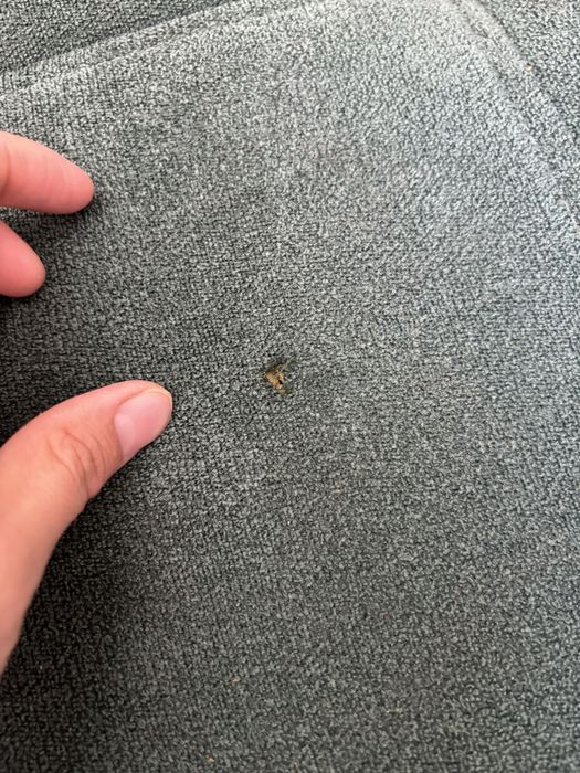 Продам Диван б/у хорошего качества