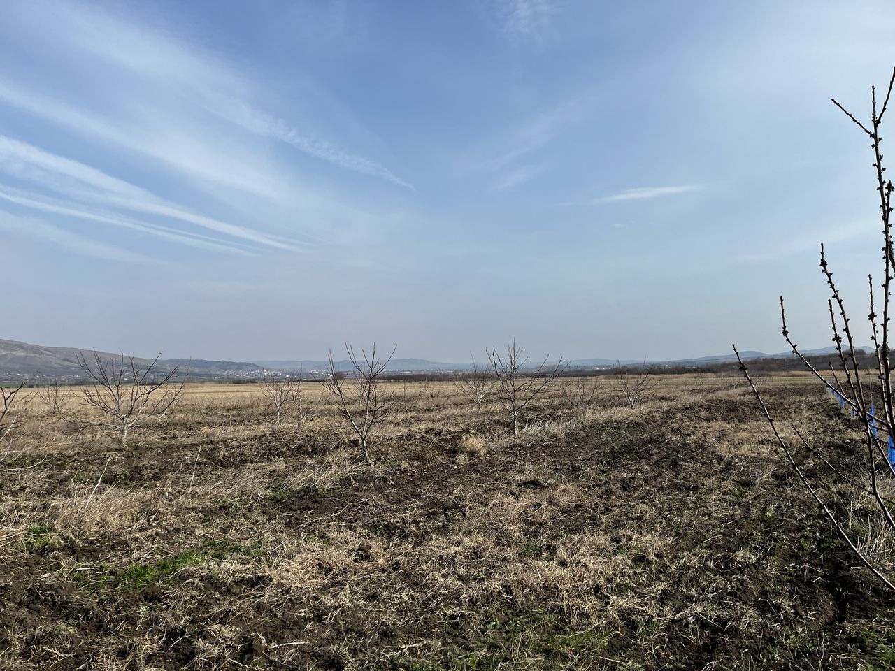 Продава се Земеделски имот в с. Поляново, Област Бургас -  кв.м за 1530 €/дка - Снимка #2
