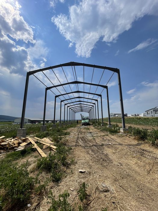 Vând hale metalice 12x50