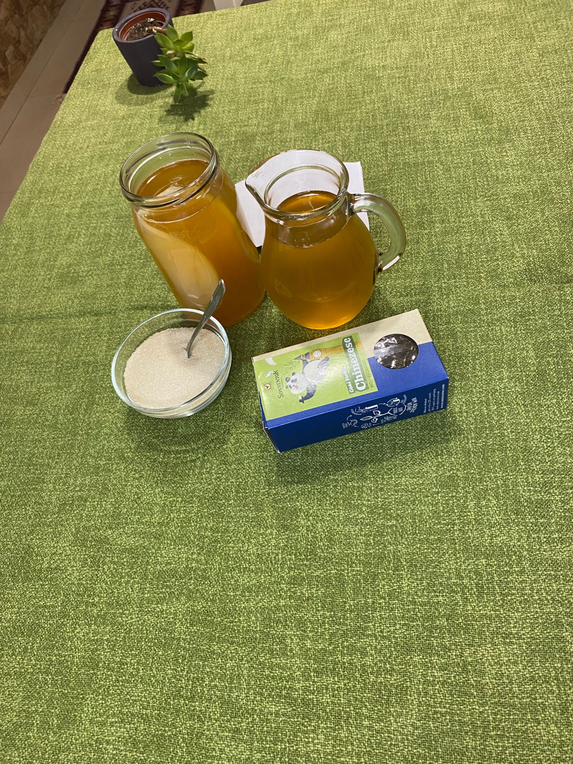 Ciupercă Kombucha