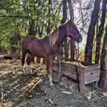 De vanzare! Detalii in privat