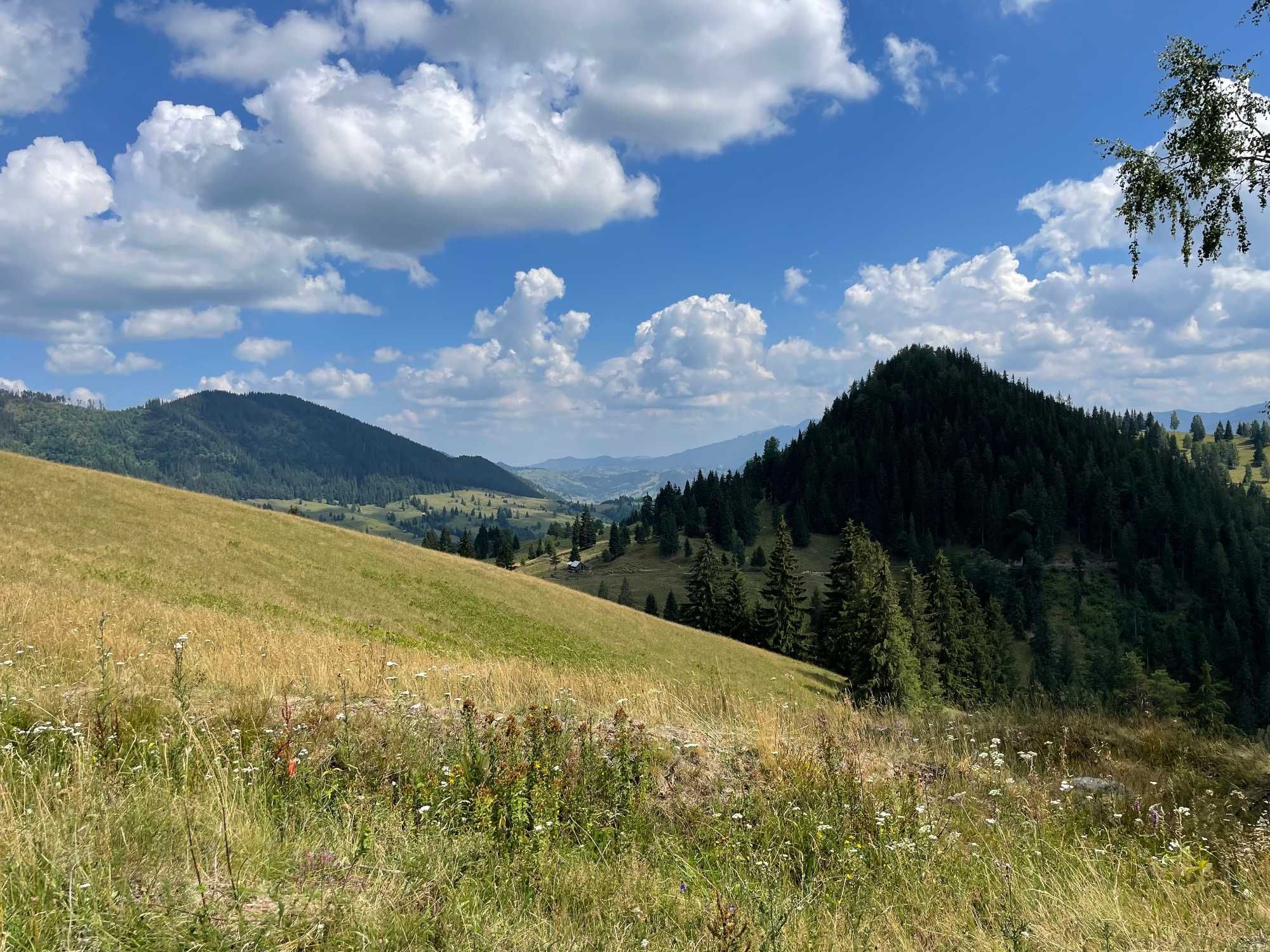 Ocazie! 17 Ha Hectare teren intravilan + extravilan in Fundu Moldovei