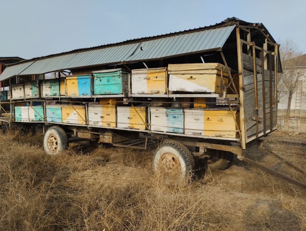 Продажа Пчелоприцепа