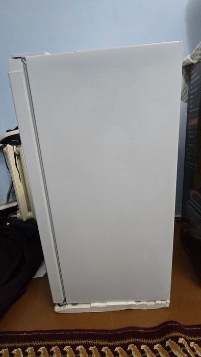 Roison mini muzlatgichi