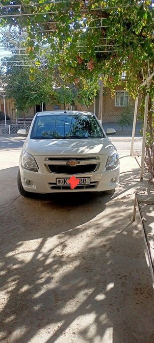 Cobalt  2024 sotiladii