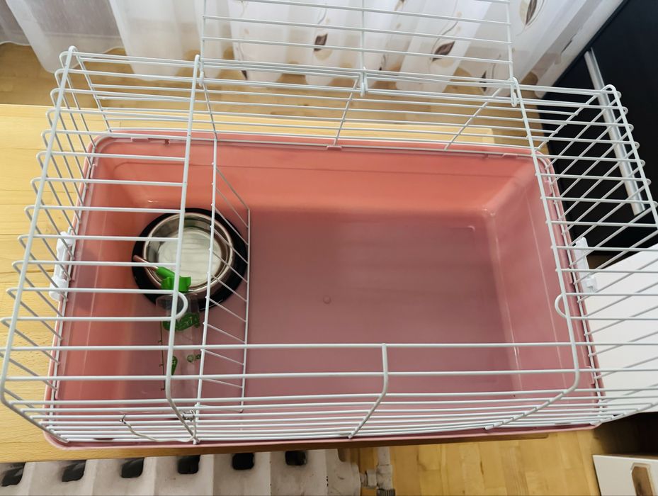 Cusca rozatoare ideala iepurasi(noua)