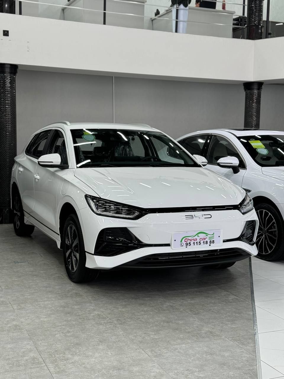 Byd e2 luxry full natariusga tayor