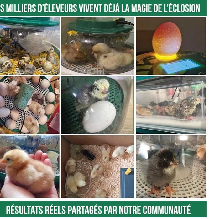 incubator complet automat pt 18 oua.