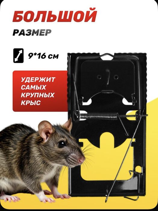 Крысоловка -9*16