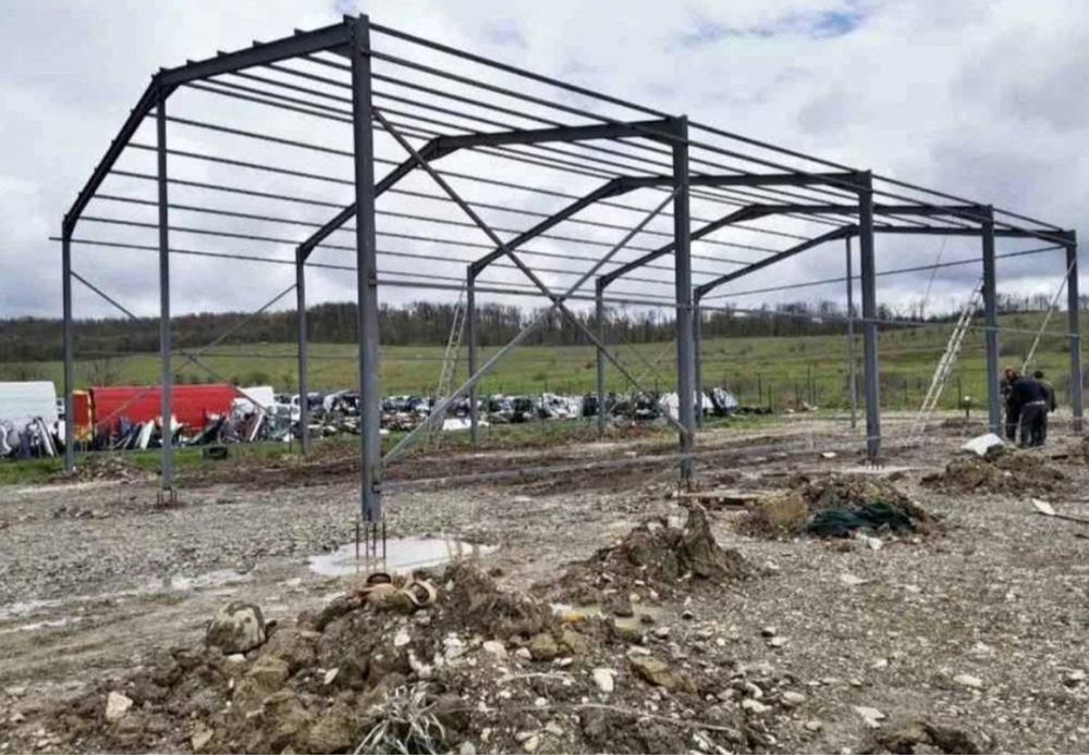 Vand structura metalica 8x12x4