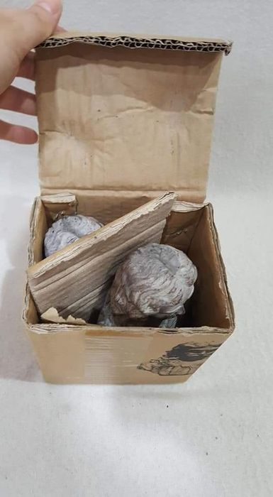 Нови масивни статуетки