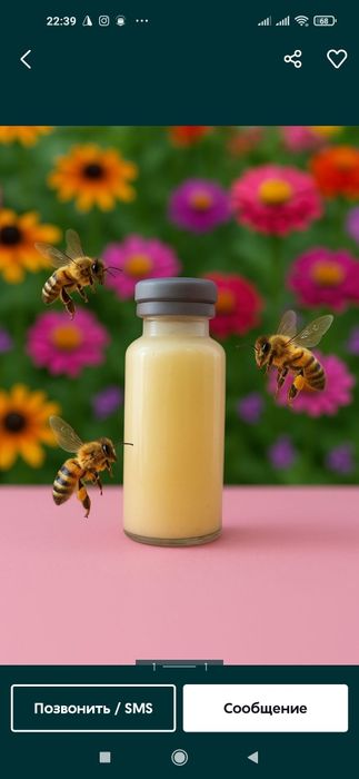 Ari suti asal ari suti