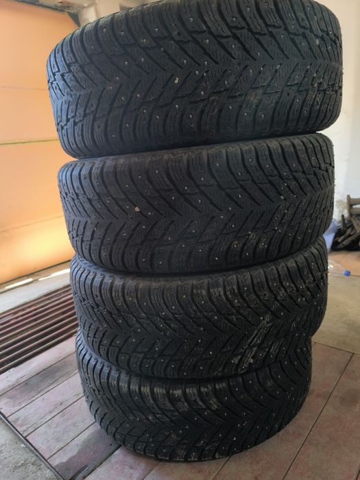 Nokian Hakapelita 10