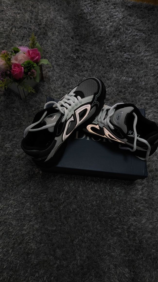 Dior b30 reflective, nike tn